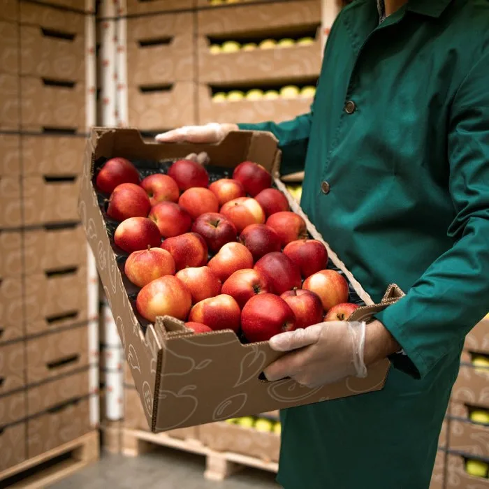Worker in a green coat carrying a tray of red apples